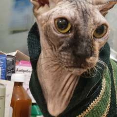 Фото отзыва 10801528