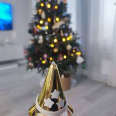 Фото отзыва 10835820