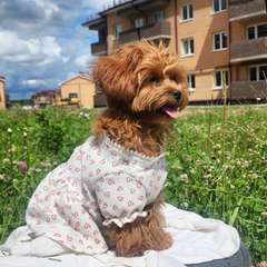 Фото отзыва 10130957