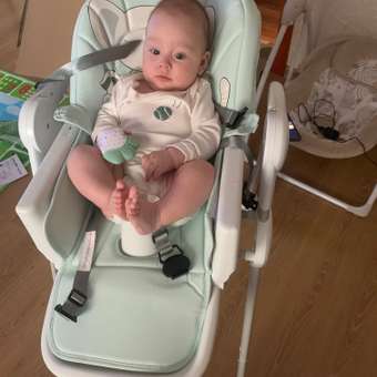 Стульчик для кормления Babyton Multiset Mint классический: отзыв пользователя Детский Мир