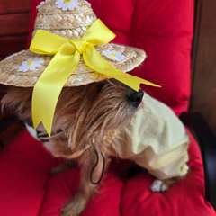 Фото отзыва 10043205