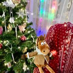 Фото отзыва 11007953