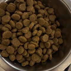 Фото отзыва 10715398