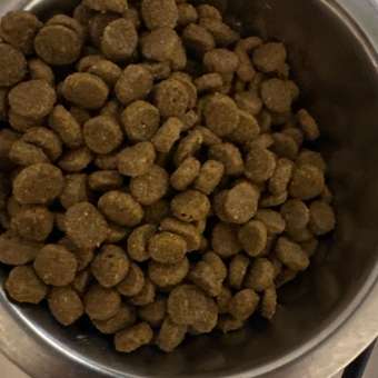 Корм сухой для кошек PRO PLAN 1.5кг с лососем с чувствительной кожей: отзыв пользователя. Зоомагазин Зоозавр