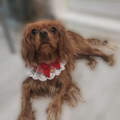 Фото отзыва 10736495