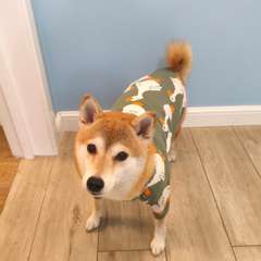 Фото отзыва 11290587