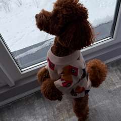 Фото отзыва 11093251