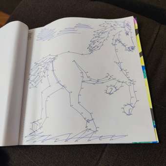 Книга АСТ Coloristic Цветовой квест по номерам: отзыв пользователя Детский Мир