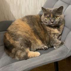 Фото отзыва 10593008