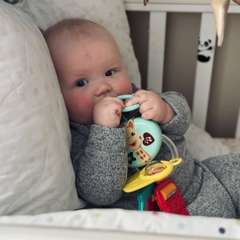 Фото отзыва 10628704