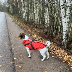 Фото отзыва 10558994