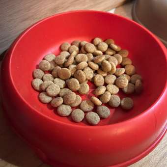 Корм для кошек ROYAL CANIN Veterinary Diet Urinary S/O Moderate Calorie Лечение и профилактика МКБ 1.5кг: отзыв пользователя. Зоомагазин Зоозавр