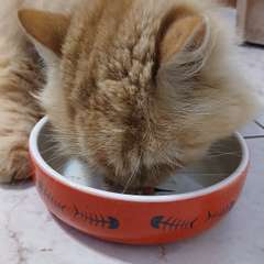 Фото отзыва 10282573