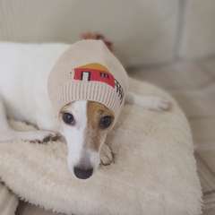 Фото отзыва 11068035