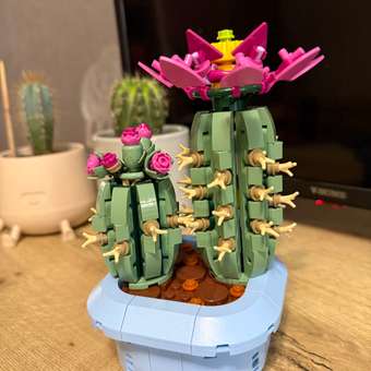 Конструктор LEGO Botanicals Цветущий кактус 482 дет.: отзыв пользователя Детский Мир