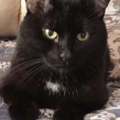 Фото отзыва 11303566