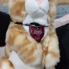 Фото отзыва 10741938