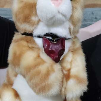 Мягкая игрушка Aurora котик Табби: отзыв пользователя Детский Мир