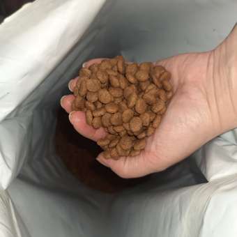 Корм для щенков PRO PLAN Grain Free Formula средних и крупных пород чувствительное пищеварение индейка 12кг: отзыв пользователя. Зоомагазин Зоозавр
