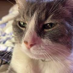 Фото отзыва 10693515