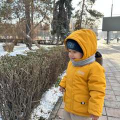 Фото отзыва 8837165