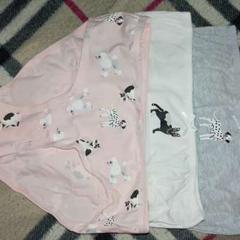 Трусы Day and Night 3 шт: отзыв пользователя Детский Мир