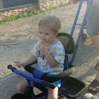 Трехколесный велосипед Velobibi: отзыв пользователя Детский Мир