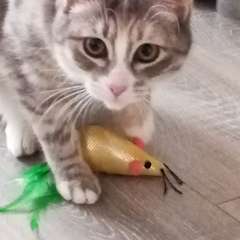 Фото отзыва 10937371