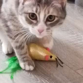 Игрушка для кошек Barbaks Мышка блестящая с кошачьей мятой и перьями 20*3.5 см: отзыв пользователя. Зоомагазин Зоозавр