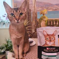 Фото отзыва 10918844