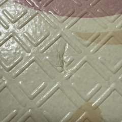 Фото отзыва 10567239