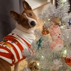 Фото отзыва 11131348