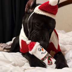 Фото отзыва 10744200