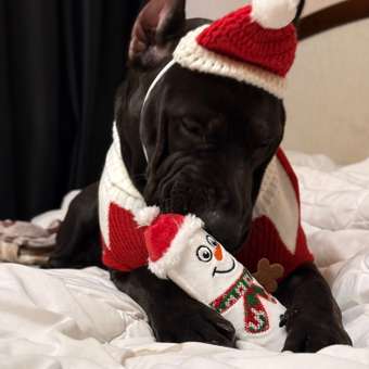 Игрушка для собак GiGwi X-mas Tales Маленький снеговик с пищалкой 18см: отзыв пользователя. Зоомагазин Зоозавр