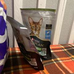 Фото отзыва 10818706