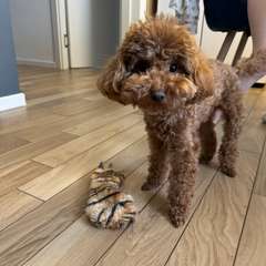 Фото отзыва 8342888