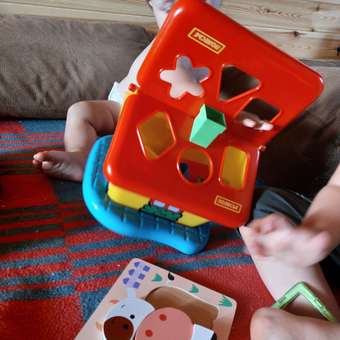 Игрушка Полесье сортер Садовый домик: отзыв пользователя ДетМир