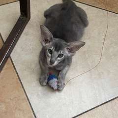 Фото отзыва 10920427