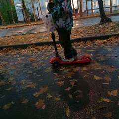 Фото отзыва 10526636