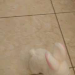 Видео отзыва 9573949