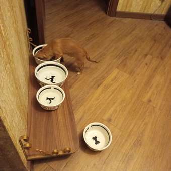 Корм для щенков ROYAL CANIN Puppy миниатюрных пород 3кг: отзыв пользователя. Зоомагазин Зоозавр