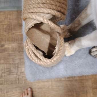 Домик для кошки с когтеточкой Pet БМФ Серый: отзыв пользователя. Зоомагазин Зоозавр