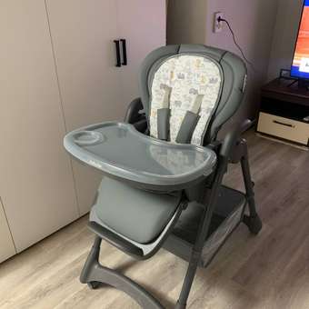 Стульчик для кормления Babyton Sweet Meals Grey серый: отзыв пользователя ДетМир