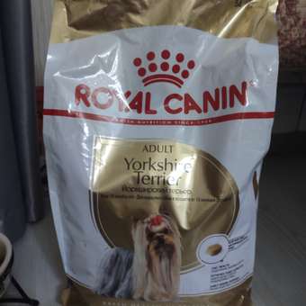 Корм для собак ROYAL CANIN породы йоркширский терьер 3кг: отзыв пользователя. Зоомагазин Зоозавр