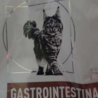 Корм для кошек ROYAL CANIN Gastrointestinal Moderate Calorie при расстройствах пищеварения 350г: отзыв пользователя. Зоомагазин Зоозавр