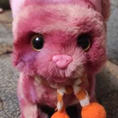 Фото отзыва 10647433