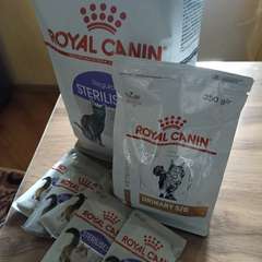 Фото отзыва 11226421