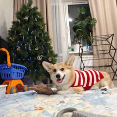 Фото отзыва 10833333