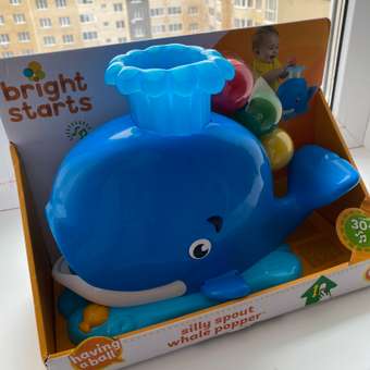 Игрушка Bright Starts сортер: отзыв пользователя ДетМир