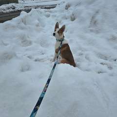 Фото отзыва 10886175